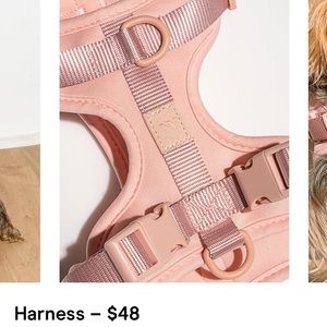 NEW WILD ONE PINK BLUSH HARNESS MEDIUM